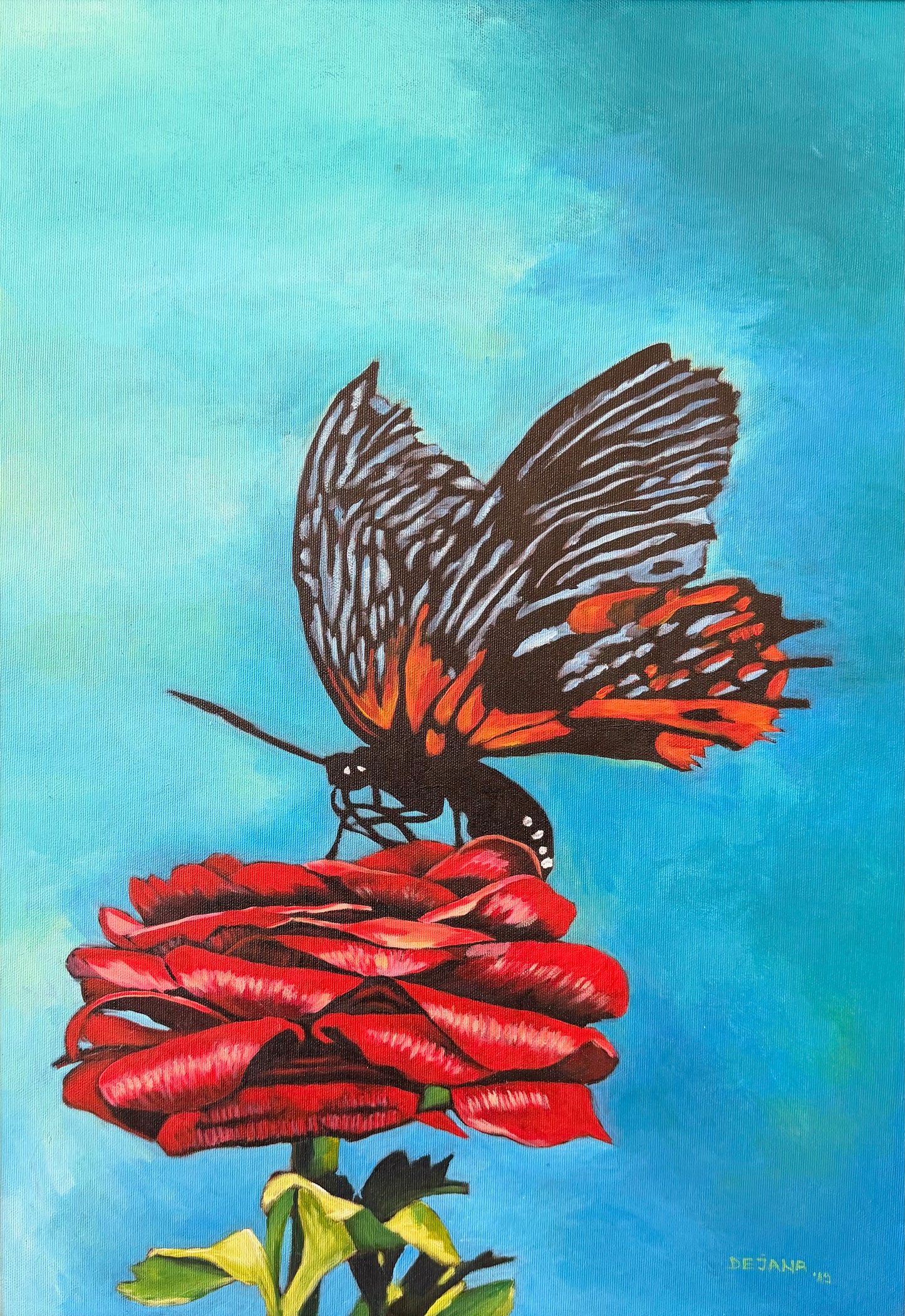 Butterfly on Rose 50x70