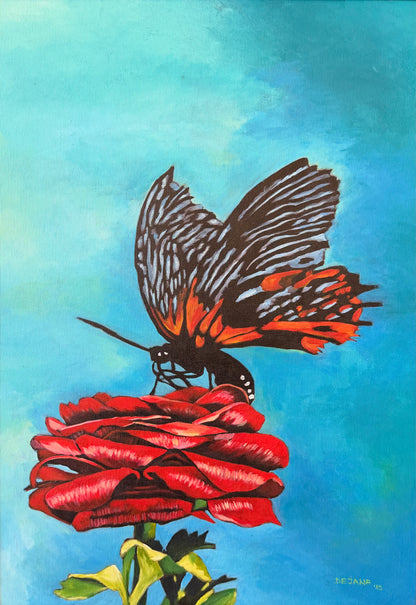 Butterfly on Rose 50x70