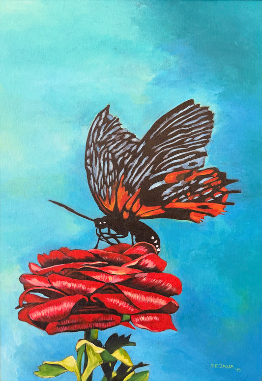 Butterfly on Rose 50x70