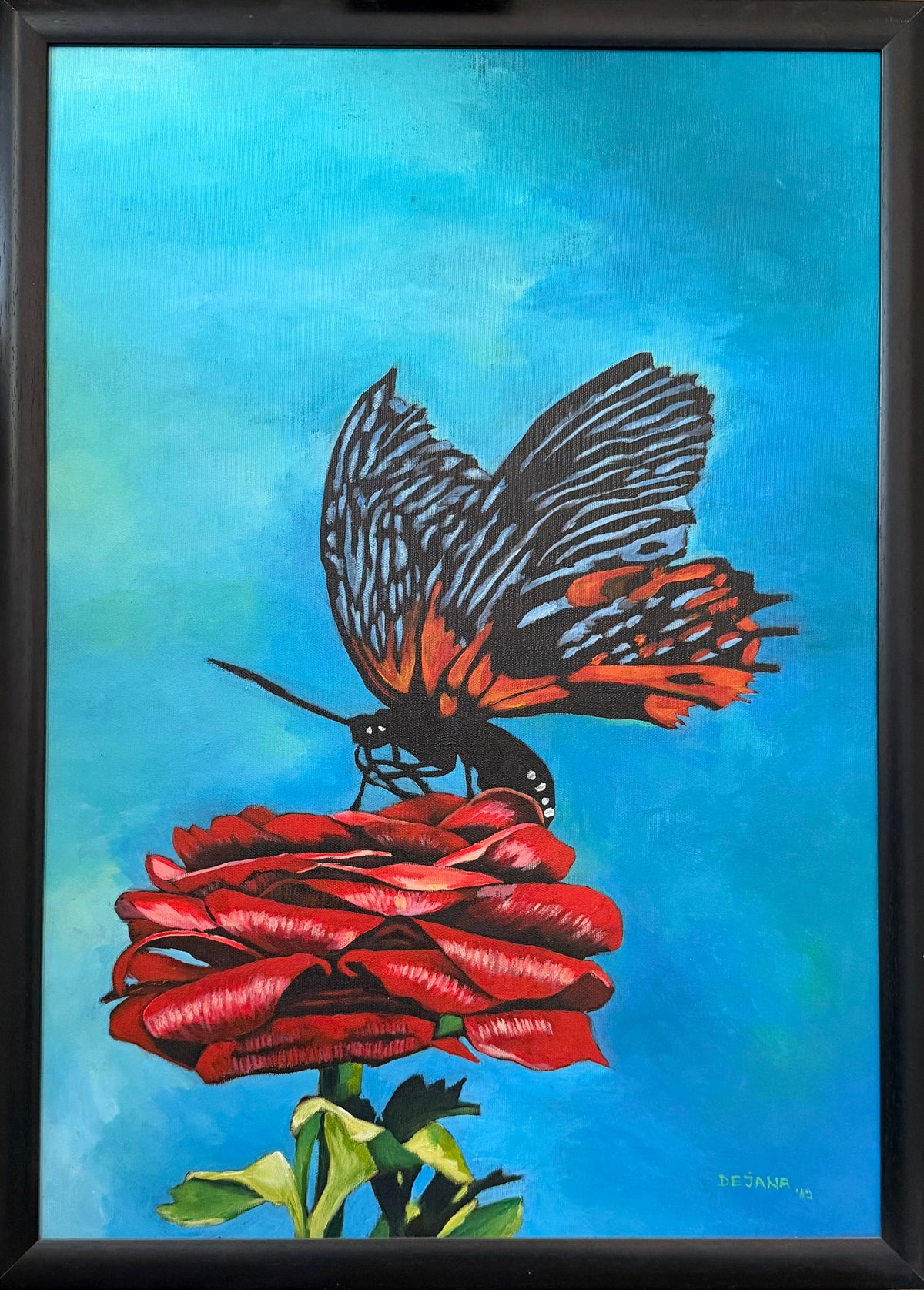Butterfly on a Rose — original acrylic painting on canvas, 50 × 70 cm, framed, a black and orange butterfly resting on a deep red zinnia against a turquoise sky, painted with her feet by Dejana Nezic, Girl With Wings