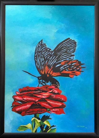 Butterfly on a Rose — original acrylic painting on canvas, 50 × 70 cm, framed, a black and orange butterfly resting on a deep red zinnia against a turquoise sky, painted with her feet by Dejana Nezic, Girl With Wings